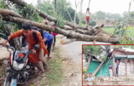 ঠাকুরগাঁওয়ে ঝড়ে লন্ডভন্ড ২০ গ্রাম, প্রাণ গেলো তিনজনের